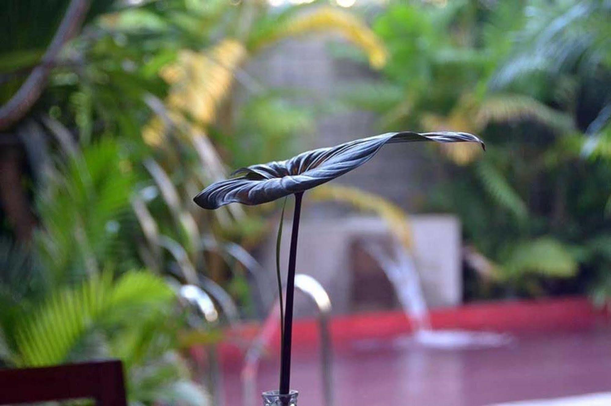 Tranquil Villa Phnom Penh Dış mekan fotoğraf